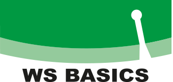 WS basics logo